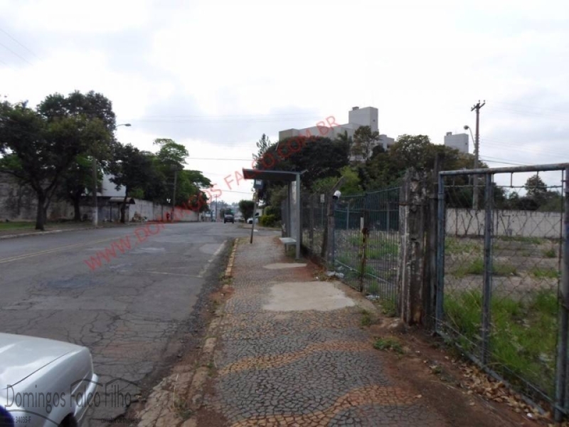 Americana/SP