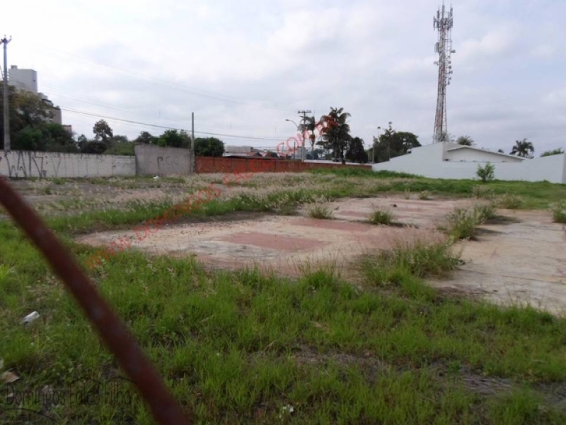 Americana/SP