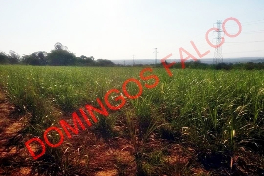 Santa Bárbara D Oeste/SP
